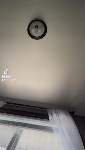 Labia Naked Tiktok by humangurl