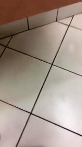 High School Students Caught Fucking In The Toilets